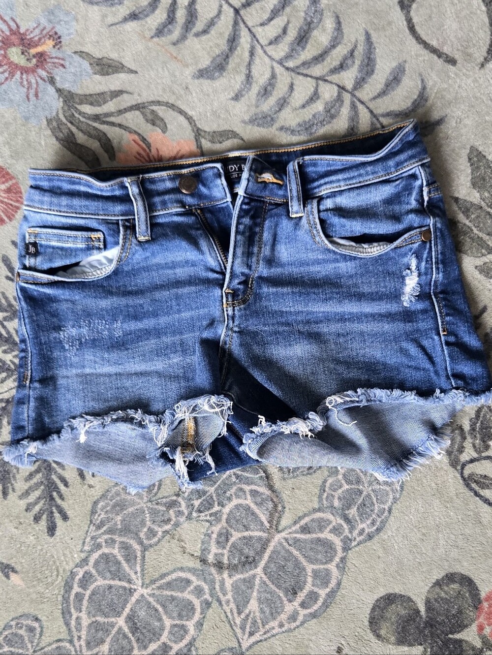 Judy Blue Denim Frayed Hem Women's Shorts